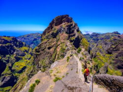 Singlereise zur Blumeninsel Madeira 6